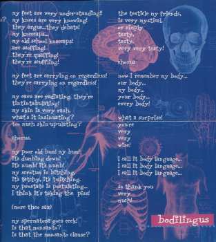 CD/DVD Gong: High Above The Subterania Club 2000 DIGI