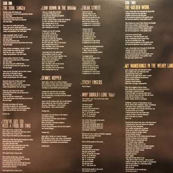 LP The Waterboys: Good Luck, Seeker