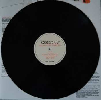 LP Goodbye June: See Where The Night Goes