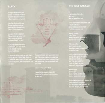 CD Gorgonea Prima: Brownfields