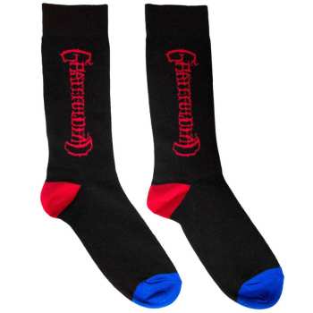 Merch Grateful Dead: Calcetines tobilleros Vertical Mono Logo Grateful Dead