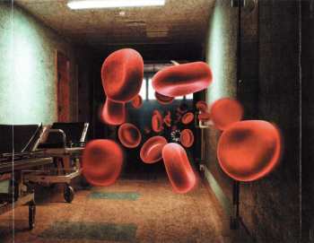 CD Grenouer: Blood On The Face