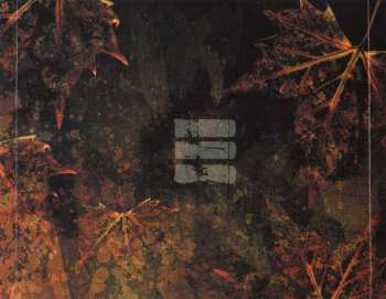 CD Grenouer: Unwanted Today