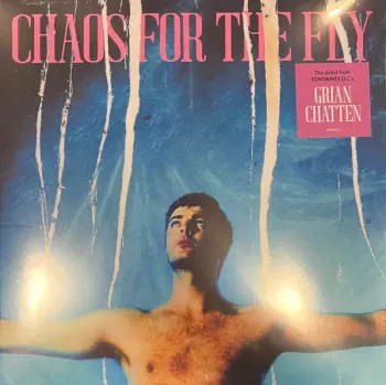 Grian Chatten: Chaos For The Fly