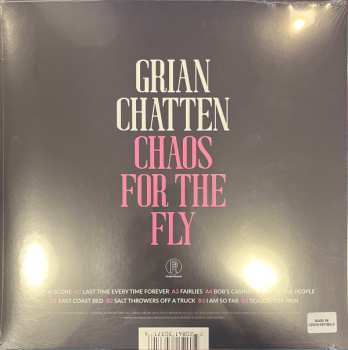 LP Grian Chatten: Chaos For The Fly