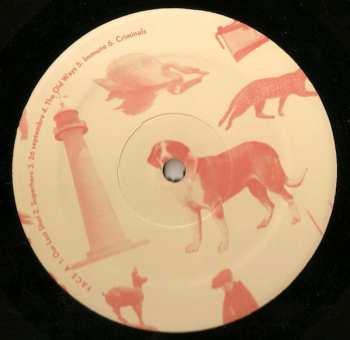 LP Grøenland: The Chase