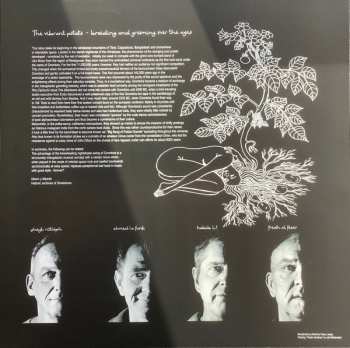 LP Grombira: Desert Warp  CLR | LTD