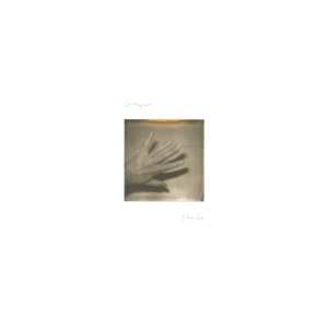 CD Grouper: Shade