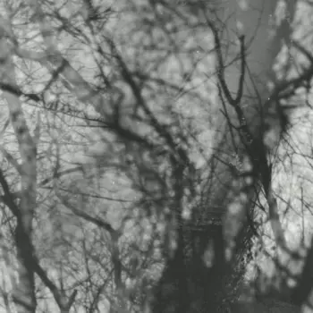 Grouper: Way Their Crept