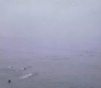 Growing: The Sky's Run Into The Sea