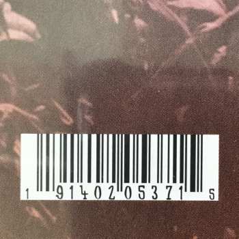 2LP Gruff Rhys: American Interior