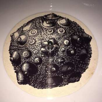 LP Grupo De Expertos Solynieve: El Eje De La Tierra LTD | CLR