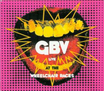 5CD/DVD/Caja Guided By Voices: Hardcore UFOs - Revelations, Epiphanies And Fast Food In The Western Hemisphere