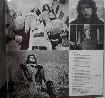 LP Guilherme Lamounier: Guilherme Lamounier