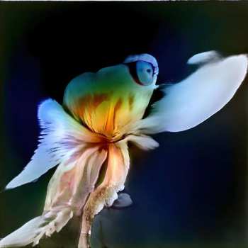 LP Gwilym Gold: Blue Garden LTD