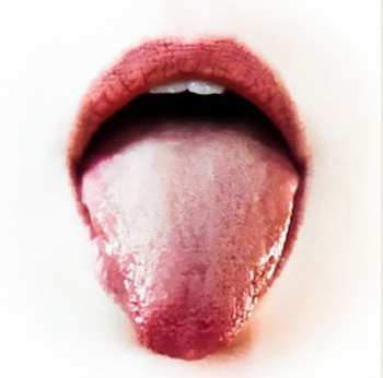 Album Gyða Valtýsdóttir: Ox