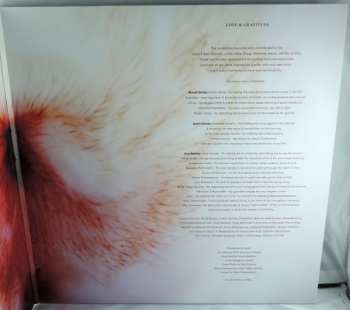 LP Gyða Valtýsdóttir: Ox