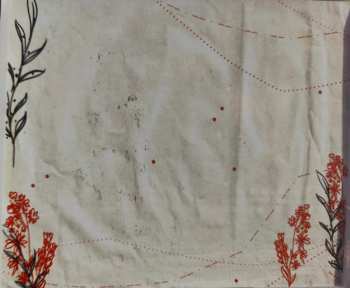 CD Haash: HAASHVILLE