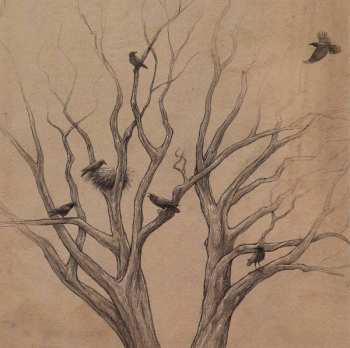 CD Haken: Restoration 