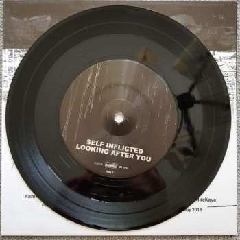 SP Hammered Hulls: Hammered Hulls