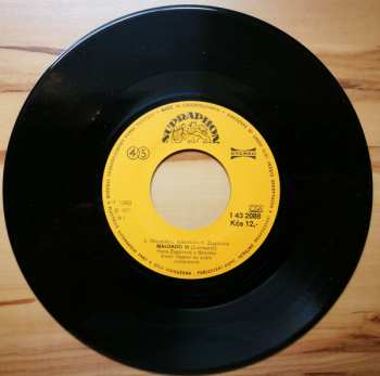 SP Hana Zagorová: Málokdo Ví / Duhová Víla