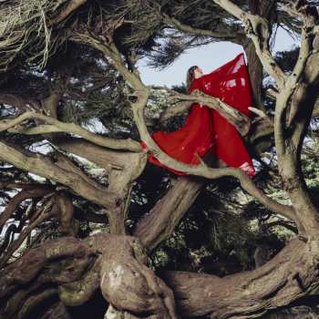 Album Hannah Frances: Nested In Tangles