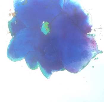 CD Hannes Wader: An Dich Hab Ich Gedacht - Hannes Wader Singt Schubert