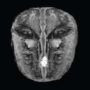 CD Hans Joachim Irmler: Die Gesänge Des Maldoror