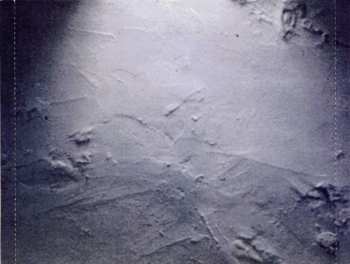 CD Harold Budd: The Room
