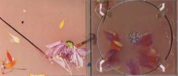 CD Harry Styles: Harry Styles DIGI