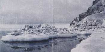 CD Hate Forest: Purity