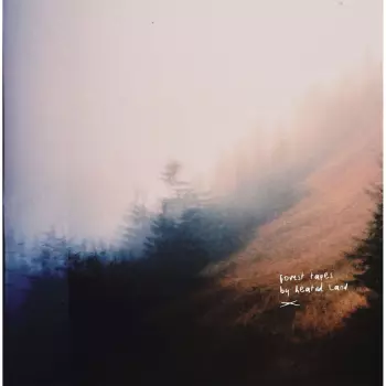 Forest Tapes