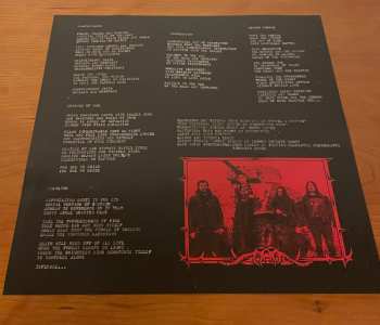 LP Hedonist: Scapulimancy