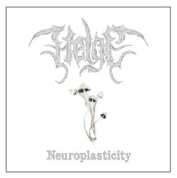 CD Helge: Neuroplasticity