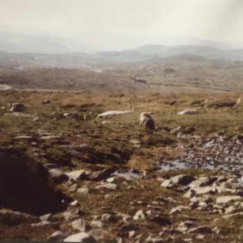 LP Henrik Lindstrand: Leken