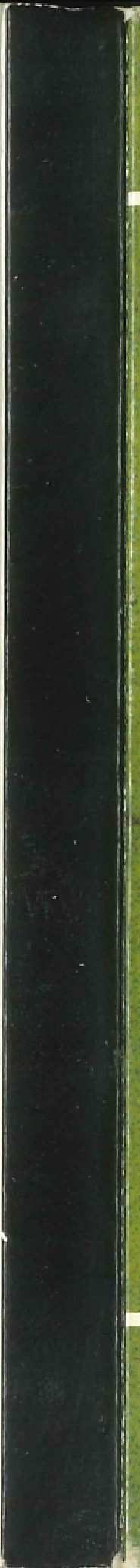 2CD Herman Brood & His Wild Romance: The Golden Years Of Dutch Pop Music