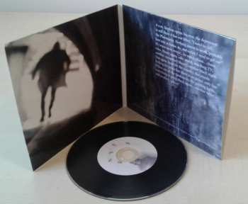 CD Heronimus Fin: The Pharmacist