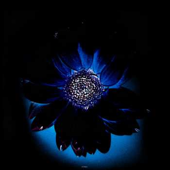 2LP Rammstein: Herzeleid