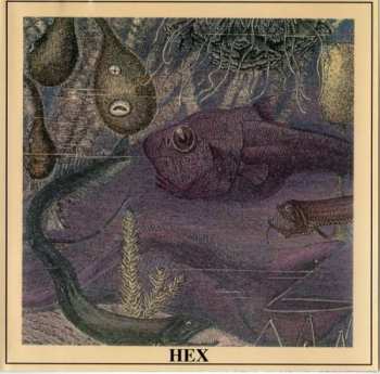 2LP Hex: Hex