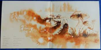 LP/CD Hexvessel: When We Are Death