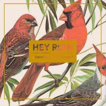 Album Hey Ruin: Irgendwas Mit Dschungel