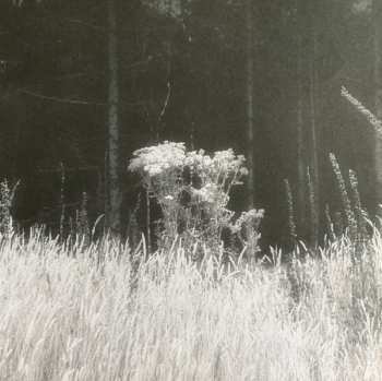 LP Hinako Omori: A Journey... CLR