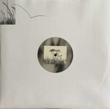 LP Hinako Omori: A Journey... CLR