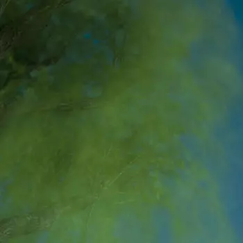 Into The Darkness Of The Night