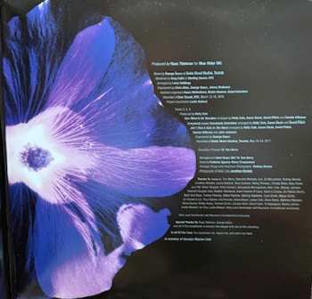 LP Holly Cole: Holly