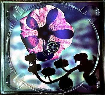 CD Holly Cole: Holly