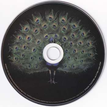 CD Holy Holy: Hello My Beautiful World