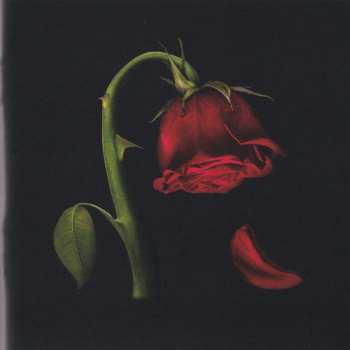 CD Holy Holy: Hello My Beautiful World