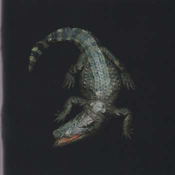 CD Holy Holy: Hello My Beautiful World