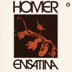 LP Homer: Ensatina